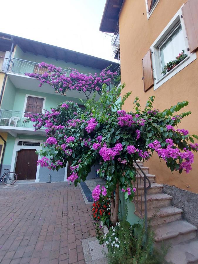 La Bougainville - Luxury Apartment Torbole Sul Garda Exteriör bild
